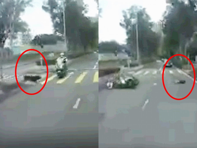 一輛電單車與狗隻相撞。貓貓狗狗保護及領養區(香港)影片截圖