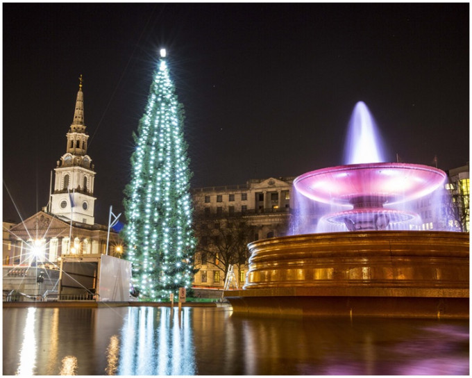 圣诞树与周围的建筑物和广场内的喷水池互相挥映。AP
