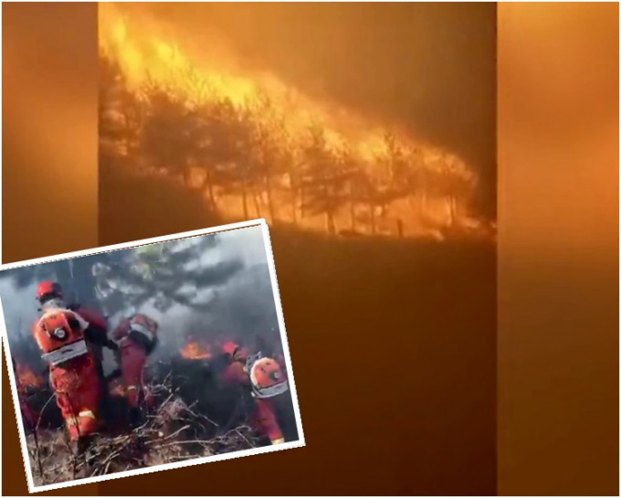 当局已出动1600名森林消防员赶赴扑救。