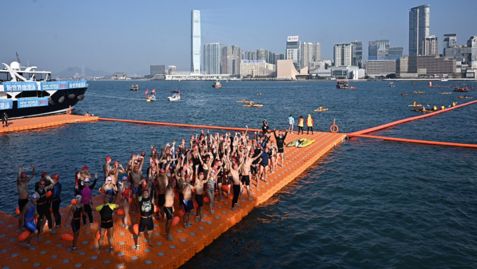 维港泳名额1500个明起可网上报名。资料图片