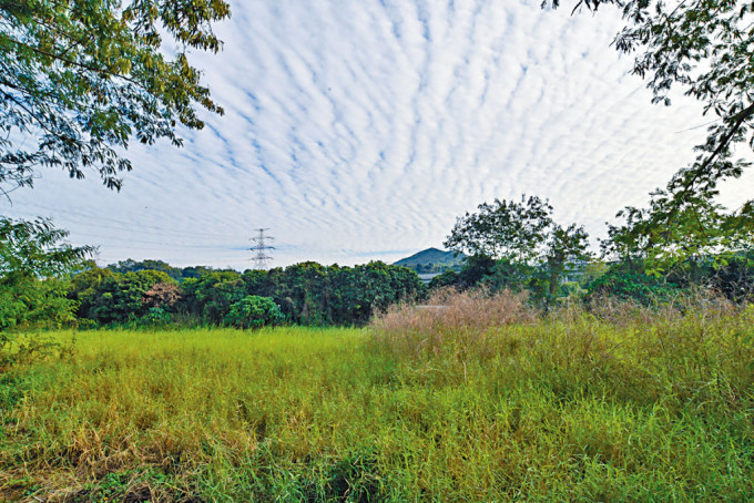 財團元朗東成里申建3565個私人住宅，規劃署不支持有關發展，城規會將於明日舉行會議審理。