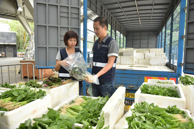 食物安全中心检测约1.58万个食物样本。 资料图片