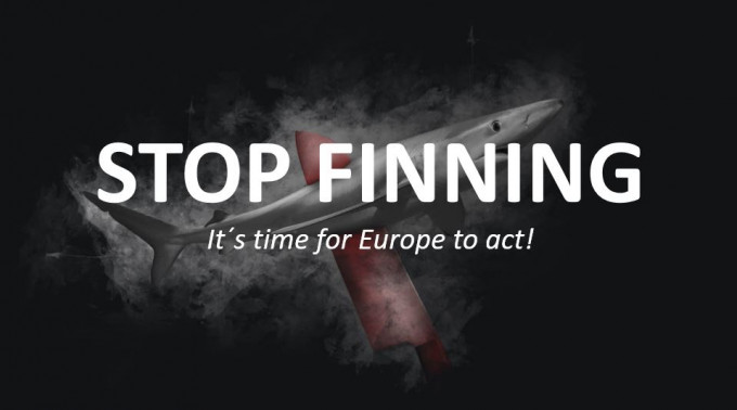 120萬人聯署倡禁魚翅，歐盟委員會展開調查。 網上圖片