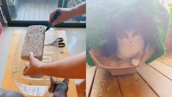 礦泉水樽打造成貓屋。