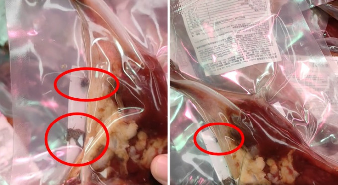 网民指在某连锁冻店的真空包装腊鸭髀中，发现疑似活的蟑螂（红圈）。饮食中伏报料区facebook影片截图