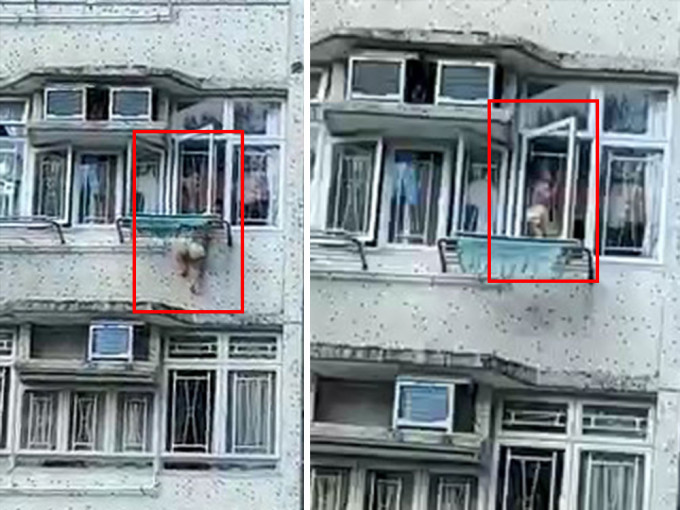 男嬰在外牆半天吊，幸獲家人及時救回單位內。網上片段截圖