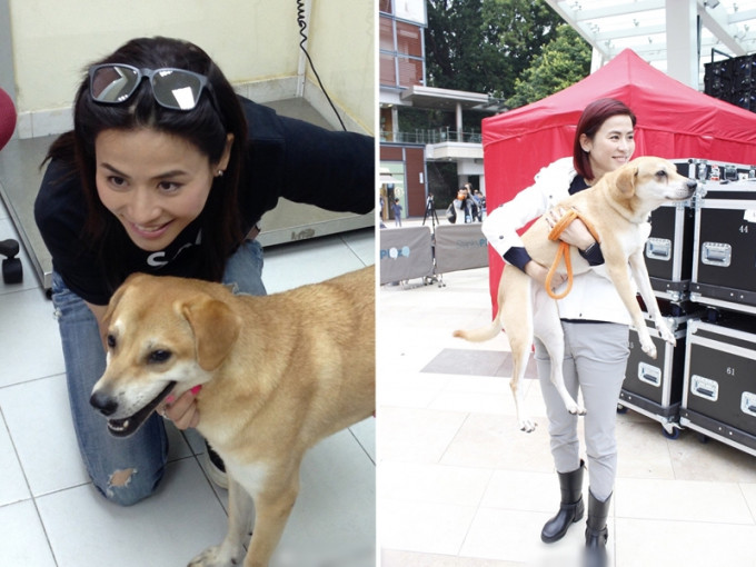 宣萱在微博透露自己其中一只爱犬Moon不幸离世。　微博图片