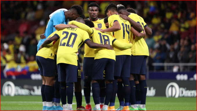 厄瓜多尔球员级数凌驾卡塔尔，赢面占先。