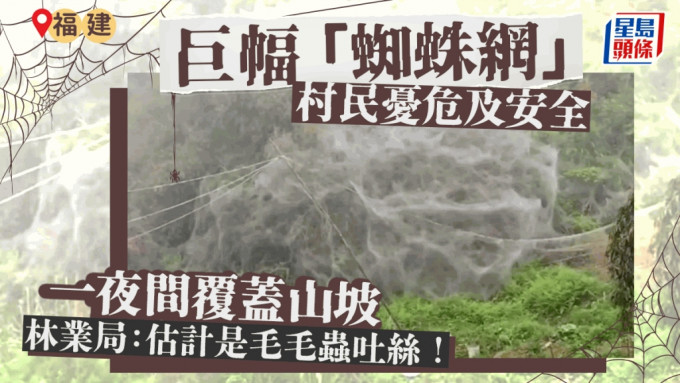 福建泉州德化县有山坡，一夜之间被「蜘蛛网」覆盖。