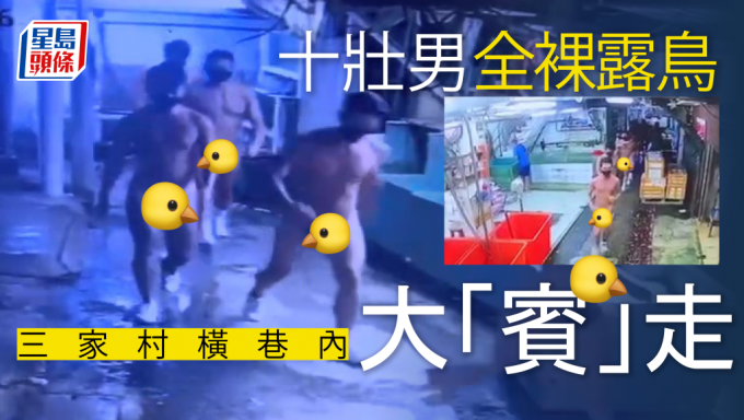 震撼全网｜十壮男全裸露鸟 鲤鱼门内大奔走