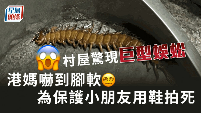 港妈在屋内发现巨型蜈蚣，为了保护小朋友而用鞋将蜈蚣打死。「香港灭虫关注组」FB