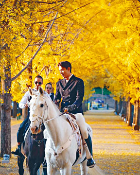 ■李敏鎬新劇收視低迷，但他所騎的白馬卻走紅！