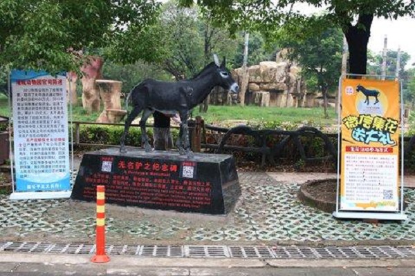 动物园为枉死的驴子立一块纪念碑。网上图片