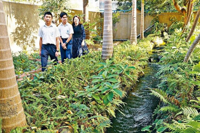 学生在校舍地下的「绿茵花园」收集千足虫，供中文大学研究。