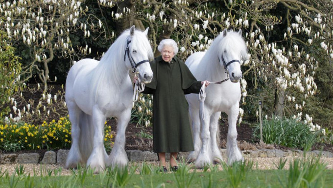 英女王96歲生日雙牽白馬拍照。路透資料圖