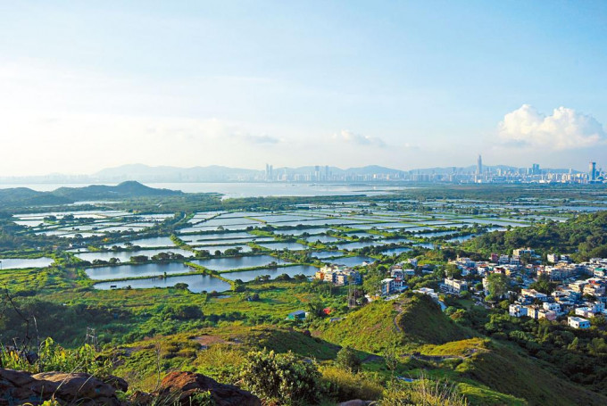 長江實業申請在后海灣濕地魚塘「豐樂圍」發展住宅項目，早年已獲城規會批准。