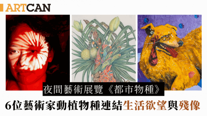香港夜市｜夜間藝術展覽《都市物種》中環展出  6位藝術家以動植物種回應城市生活