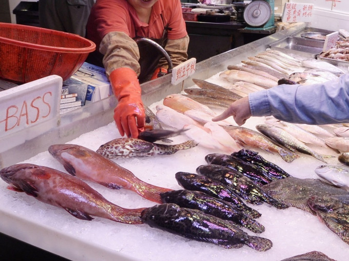食安全中心在西区副食品批发市场其中1个档户的鰂鱼样本含有孔雀石绿。资料图片