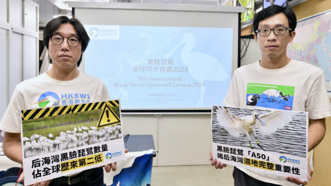 香港觀鳥會今日（19日）公布「黑臉琵鷺全球同步普查2024」，圖為香港觀鳥會總監余日東(左)、香港觀鳥會研究主任江珀墉(右)。盧江球攝
