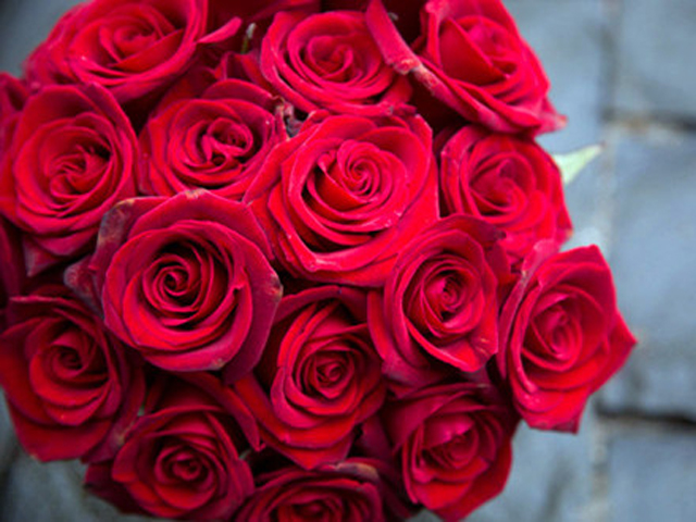 受寒流影響，加上情人節和春節相近，玫瑰花的價格大幅上漲，有商家指，今年的玫瑰花漲價約30%左右。 網圖