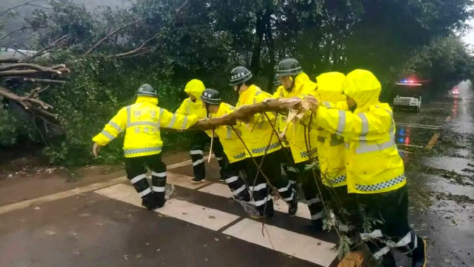 珠海警察在路上清理倒樹。