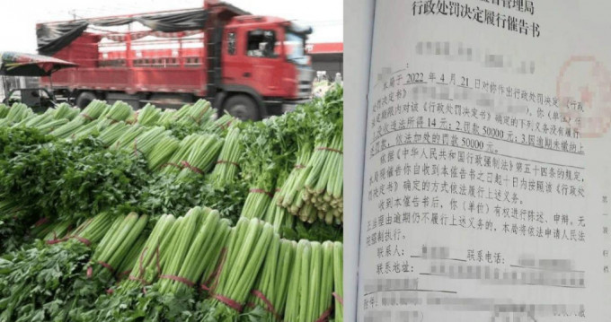 福州老农因贪便宜，卖菜获利14元，被查出含有毒残留被罚10万人民币。 新华社图片