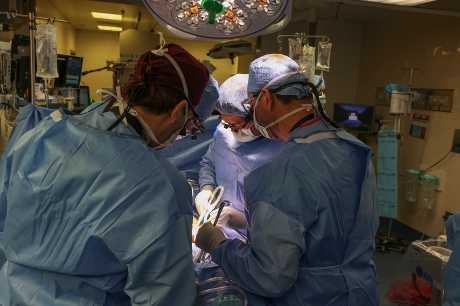 麻省总医院医生当日做移植手术。美联社