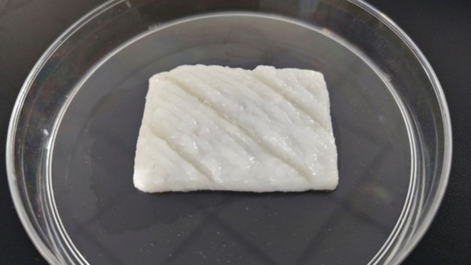 科研團隊 成功培育中國首宗人工合成魚肉。