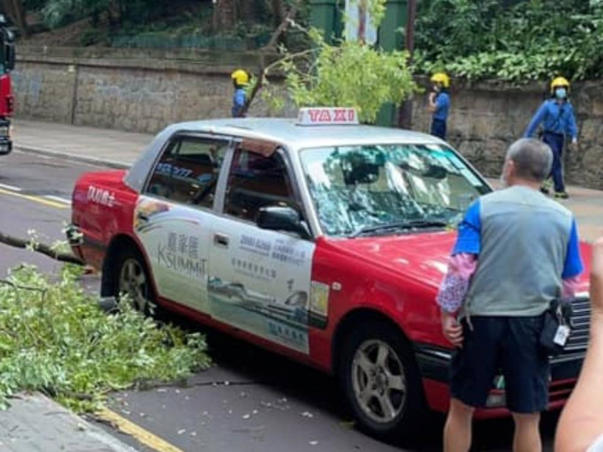 一輛行駛中的的士被塌下的樹椏擊中。fb香港突發事故報料區Florence Ho圖片