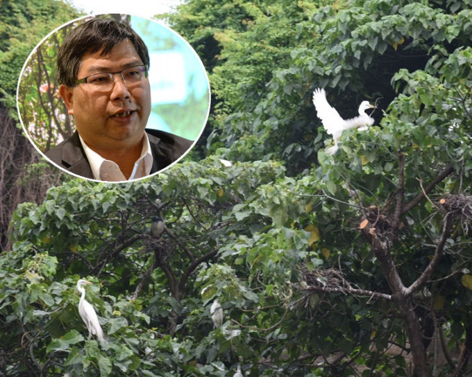梁肇輝表示每日都有人員到鷺鳥林視察。