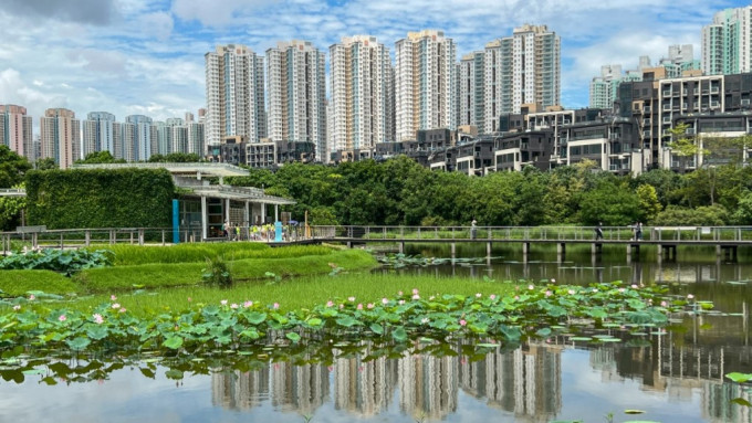 为响应全国生态日，湿地公园8.15免费开放。资料图片