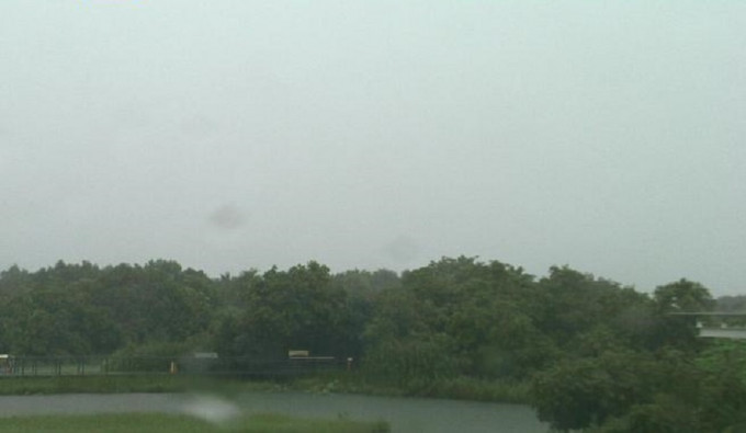 湿地公园雨势颇大。