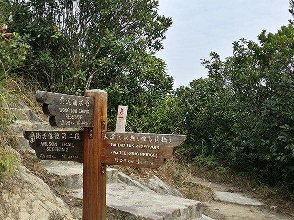 现场是黄泥涌水塘行山径对上山坡。资料图片