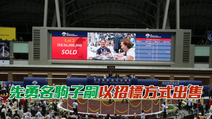 2024年香港國際馬匹拍賣會，編號13拍賣馬「先勇名駒」子嗣以招標方式出售。