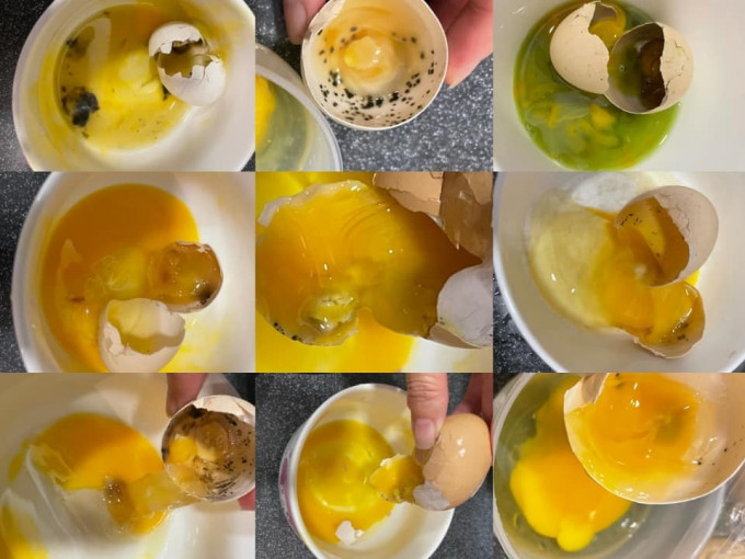 一排15只鸡蛋只有6只无变坏。网民Venis Chan图片