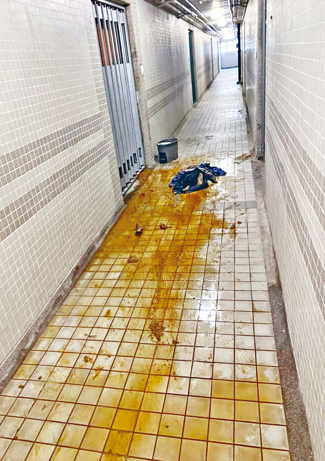 葵盛东邨盛安楼走廊等公共地方被弃置粪便。