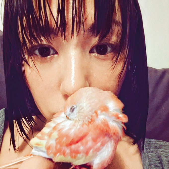心悠對住小鸚鵡Makiki母愛爆棚。