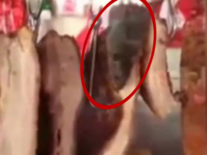 廣東佛山市場一個燒臘檔口驚見老鼠偷吃燒肉。