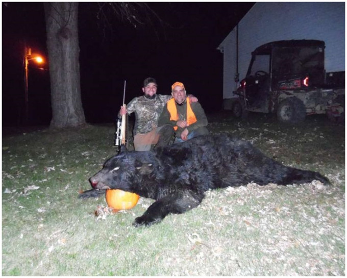 遭殺死的巨熊重達600磅。