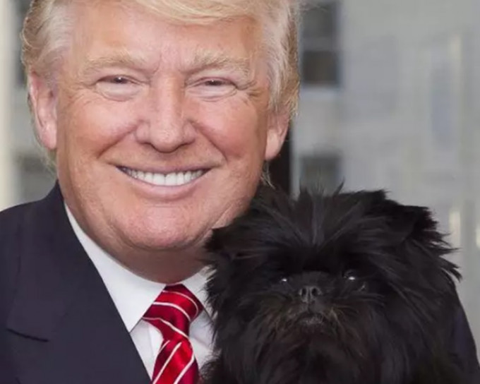 特朗普表示不想養狗。網圖