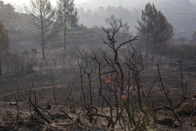 歐洲熱浪襲擊下，西班牙加泰隆尼亞山火延燒失控。　AP圖片