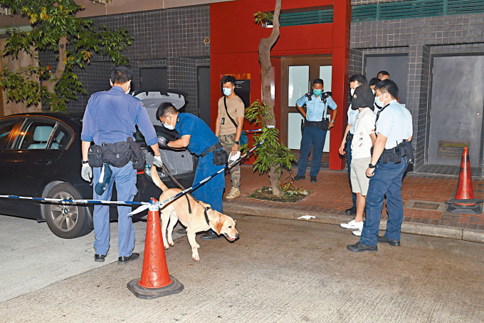 警方押同油麻地被捕司机，及带来警犬协助搜车。