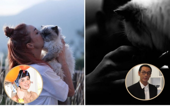 麥浚龍的20歲愛貓安詳離世。