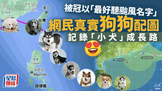 台风小犬｜最好听风暴名字 网民配狗狗图片记录「小犬」成长路