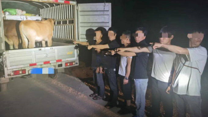 民警因闻到牛屎味，查车后发现有异，结果捉拿了6名偷牛贼。