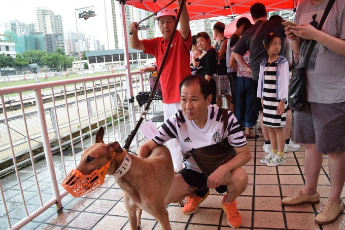 渔护署公布港人领养格力犬的安排。资料图片