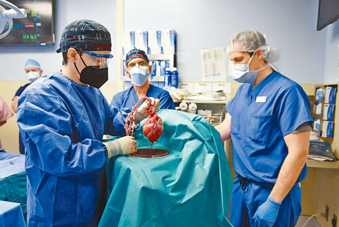 外科医生上周五在马里兰州巴尔的摩市的医院内，为病人植入猪心。