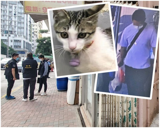 警方下午在界限街登樓搜查。小圖：貓仔「可樂」疑被一名肥身材的男子偷走。