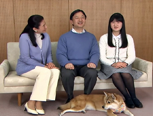 日本皇室领养流浪猫狗。