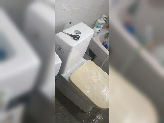 有網民發文指，其外傭疑不慎將整個坐廁拆出，甚至弄斷了去污喉。Facebook「外傭僱主必看新聞訊息」圖片